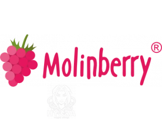 Рецепты Molinberry для самозамеса