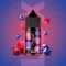 Набор компонентов Salt Chaser Lux Ultra 30 мл Blueberry Raspberry