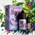 Panther Black Currant (Черная смородина)