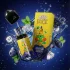 Blueberry Menthol (Черника с ментолом)