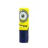 Minion