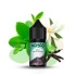 Wild Minty Herbs