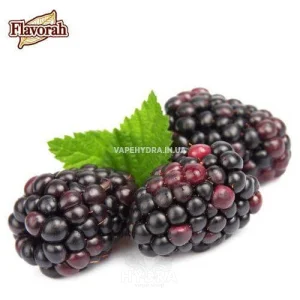Ароматизатор Flavorah Boysenberry (Ягода)