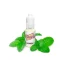 Ароматизатор Flavorah Spearmint (Мята) 15мл оригинальный флакон