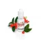 Ароматизатор Flavorah Wintergreen (Винтергрин) 15мл оригинальный флакон