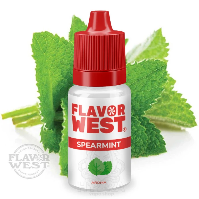 Ароматизатор Flavor West Spearmint (Мята)