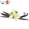 Ароматизатор FlavourArt Vanilla Tahity (Vaniglia) (Ваниль Таити)