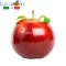FlavourArt Ароматизатор Apple Stark (Яблуко Старк) для рідини