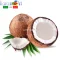 FlavourArt Ароматизатор Coconut (Кокос) для рідини