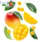 Ароматизатор FlavourArt Mango Fruity Juicy (Манго фруктовый сочный)