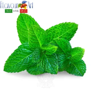 Ароматизатор FlavourArt XTRA-MINT (XTRA-Мята)