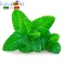 FlavourArt Ароматизатор XTRA-MINT (XTRA-М'ята) для рідини