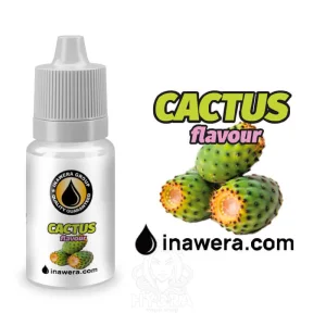 Ароматизатор Inawera Cactus (Кактус)