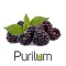 Ароматизатор Purilum Boysenberry (Бойзенова ягода)