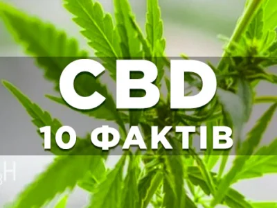 КБД: 10 науково обґрунтованих фактів, які варто знати