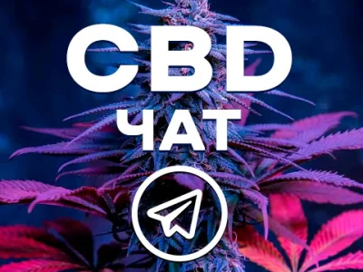 CBD чат Україна