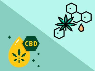 Як використовувати порошок ізоляту CBD: покрокова інструкція