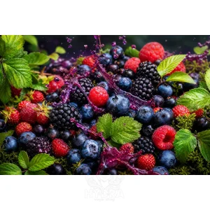 Forest Berry