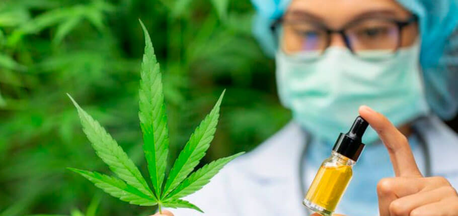 cbd изолят