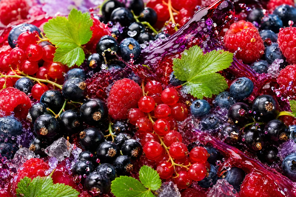 Currant Berry